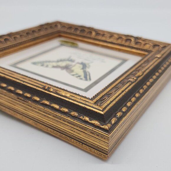 Vintage Hand Painted Embossed Butterfly in Ornate Gold Frame by MPressions - Picture 10 of 13